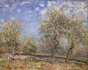 sisley apple trees cma